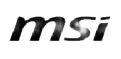MSI