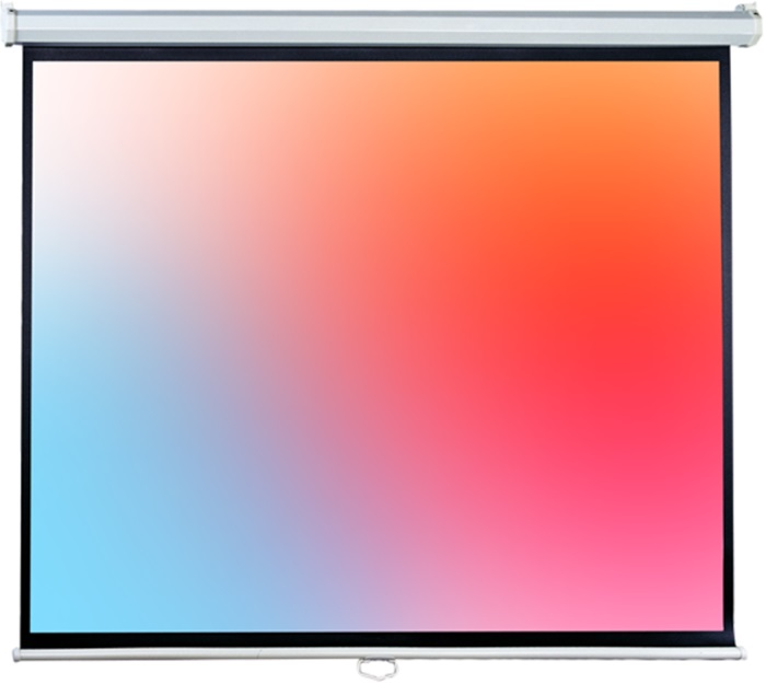 Экран потолочно-настенный Lumien Eco Picture (LEP-100103);