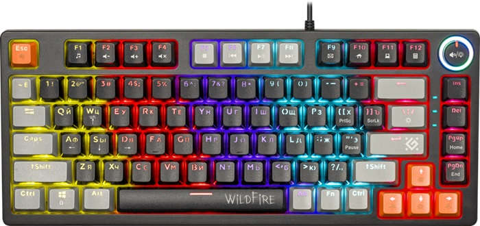 Клавиатура Defender Wildfire GK-213 RU (45213);