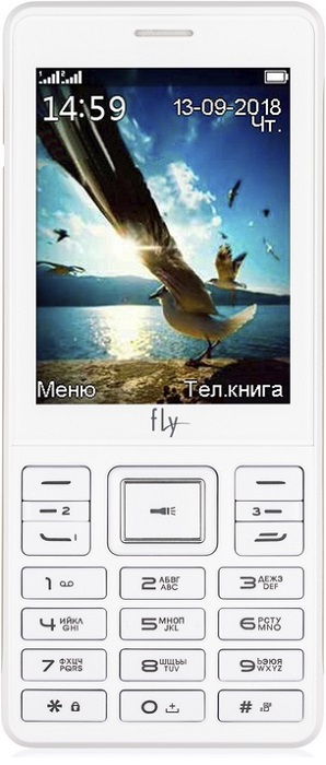 Мобильный телефон Fly TS114 White; 2.4”(320x240);