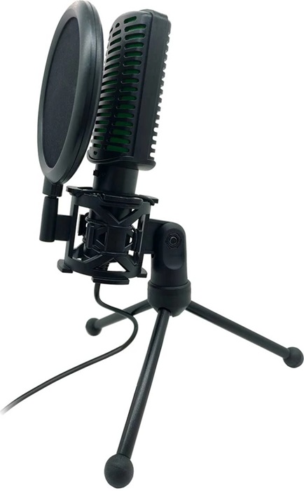 Микрофон Ritmix RDM-126 Pro Black/Green; 2.2
