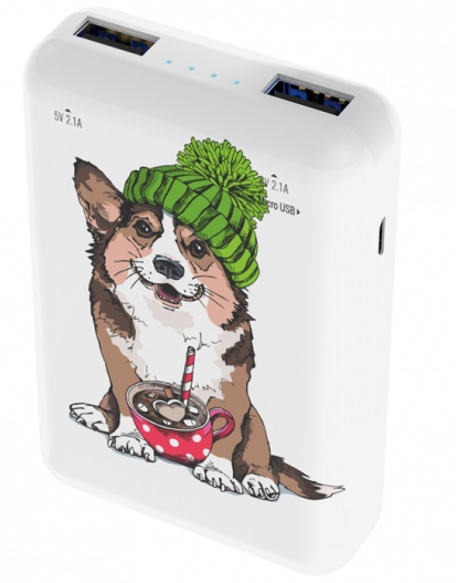 Портативный аккумулятор 10 000 мАч Ritmix