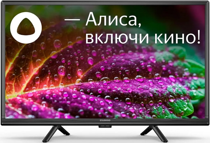 Телевизор 24" StarWind SW-LED24SG304; Direct LED;