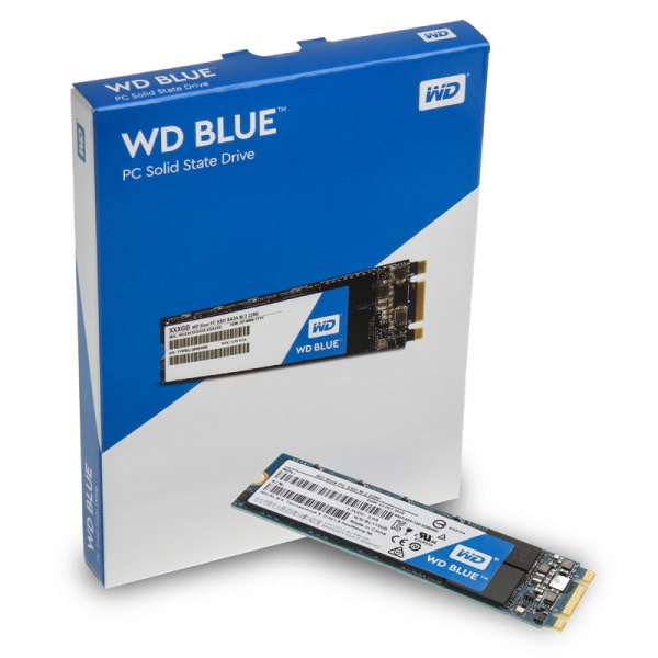 SSD-накопитель M.2 250Гб WD Blue (WDS250G2B0B);