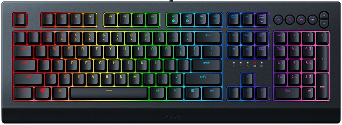 Клавиатура Razer Cynosa V2 (RZ03-03400700-R3R1); мембранная;