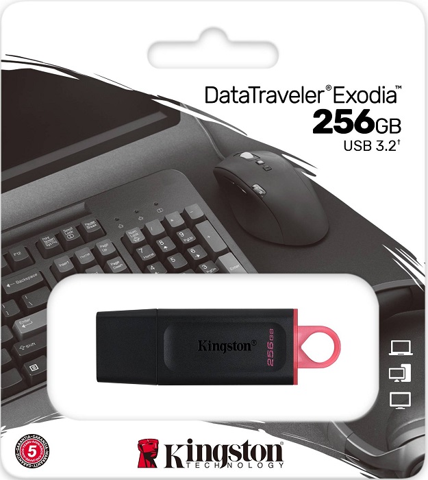 USB-флэш 256 ГБ Kingston DataTraveler Exodia