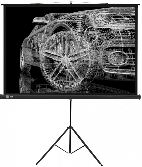Экран переносной Cactus Triscreen (CS-PST-124x221); 1240х2210