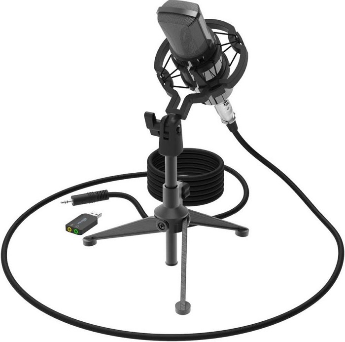 Микрофон Ritmix RDM-160 Black (RDM-160); 150