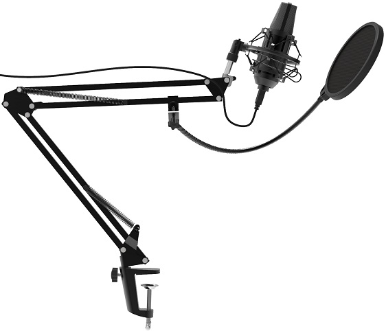 Микрофон Ritmix RDM-169 Black (RDM-169); 1